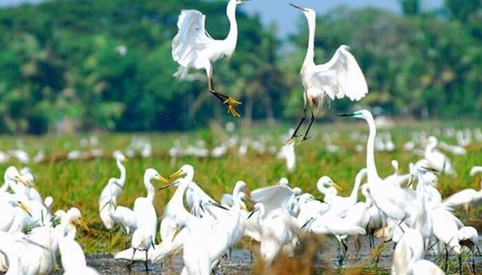 Oceana Hills Residency Hotel Alappuzha Eksteriør billede