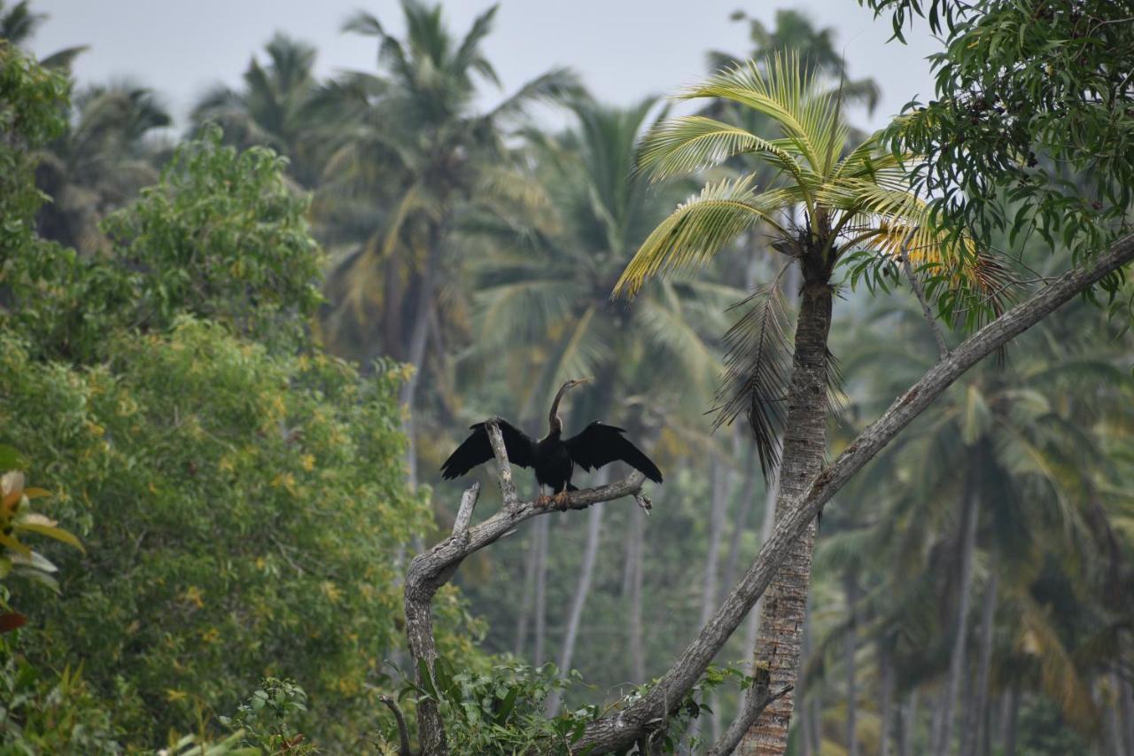 Oceana Hills Residency Hotel Alappuzha Eksteriør billede